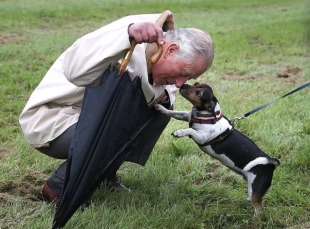 re carlo III con la cagnolina Beth