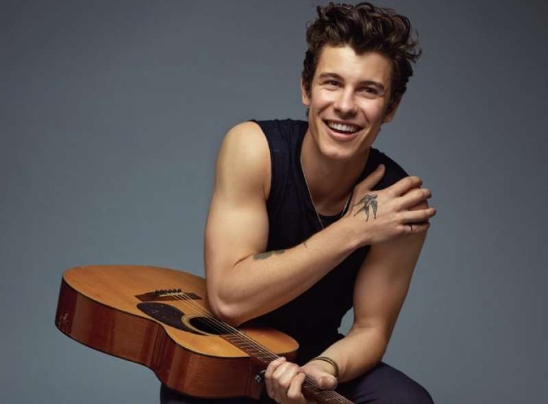 shawn mendes 6