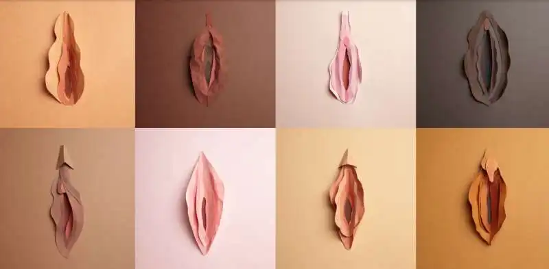 vagina