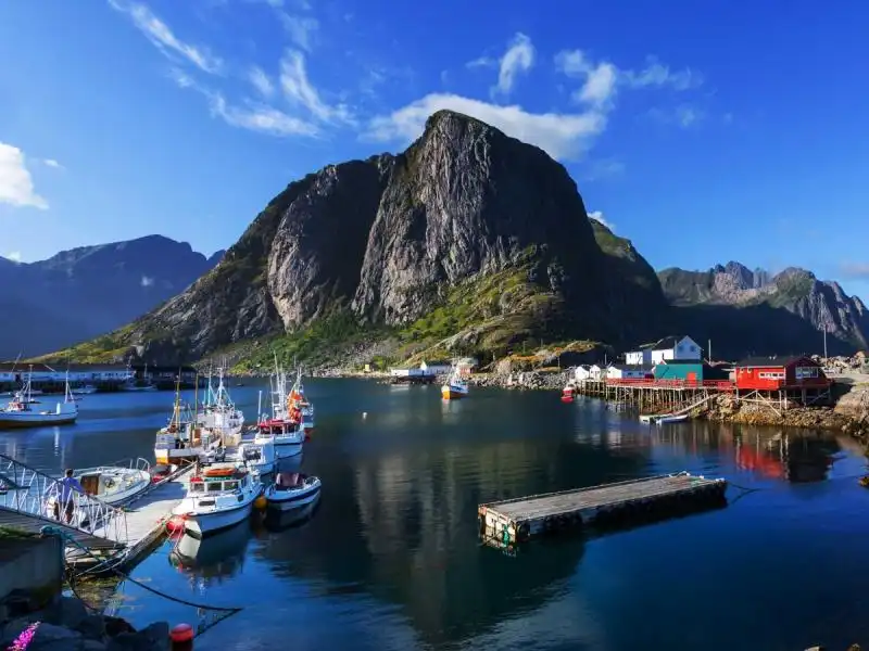 Barriera corallina nelle isole Lofoten Norvegia 