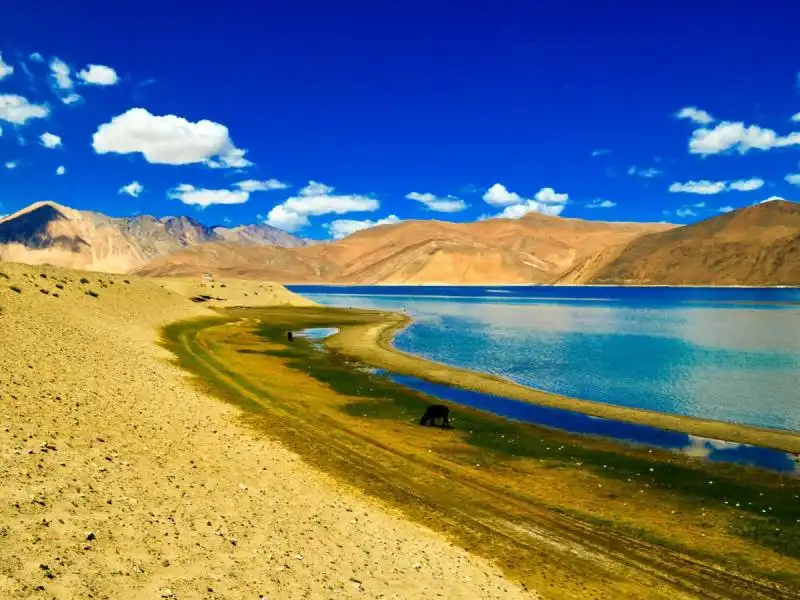 A Pangong sul lago Tso 