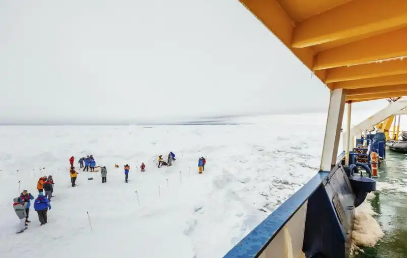 Akademik Shokalskiy nave russa incagliata nei ghiacci al polo sud 