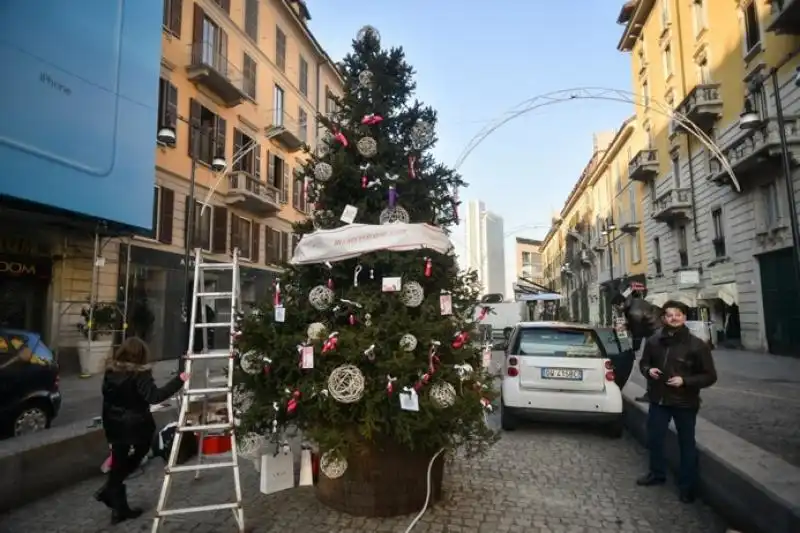 ALBERO CON I SEXTOYS FotodiLucaMatarazzo 