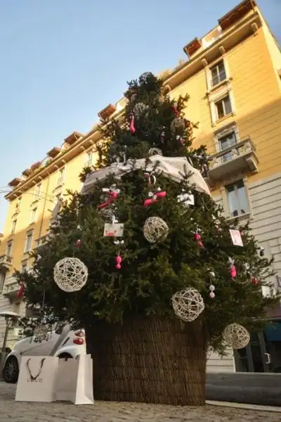 ALBERO CON I SEXTOYS FotodiLucaMatarazzo 