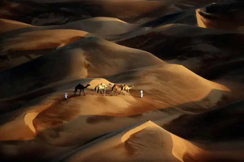 BEDUINI CON I CAMMELLI NEL DESERTO DI LIWA VICINO ABU DHABI 