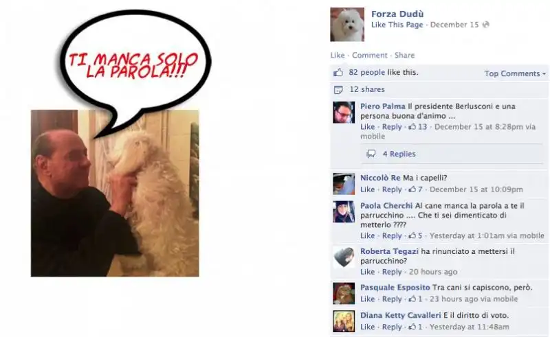 forza dudu berlusconi senza capelli disegnati e su facebook partono i commenti 