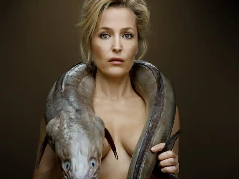 gillian anderson 