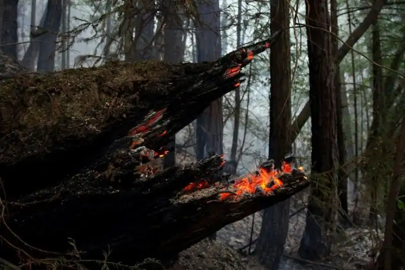 Incendio al Big Sur California 