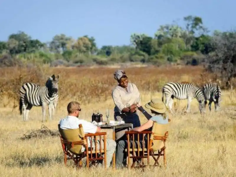 Mombo Camp in Botswana 