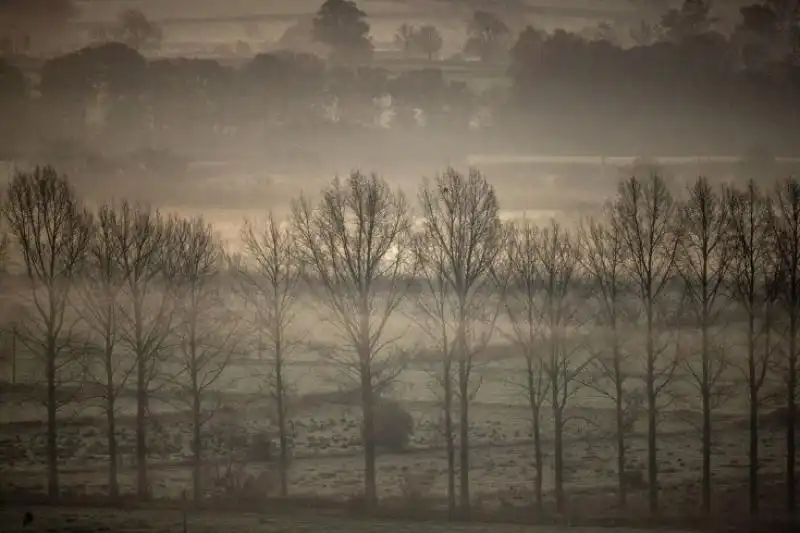 PAESAGGIO NEBBIOSO IN INGHILTERRA 