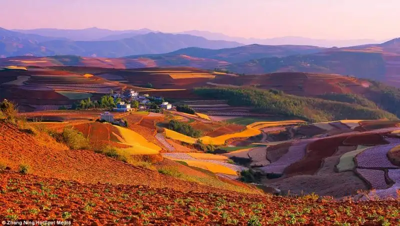 Purple Haze ovvero la vallata di Dongchuan 