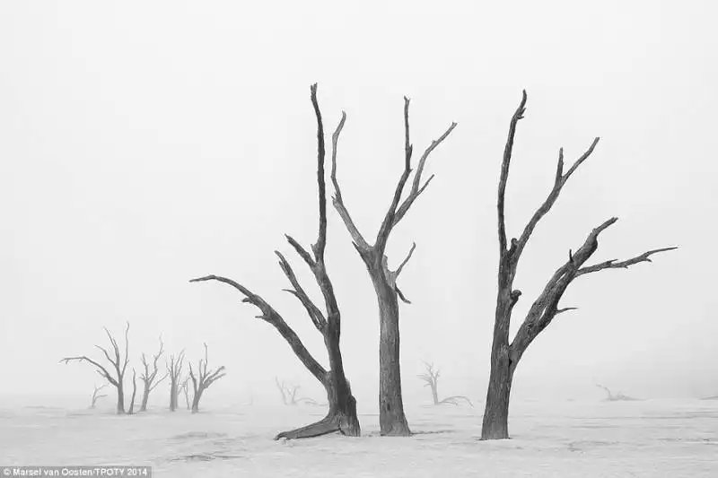 deserto namib