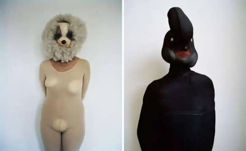 furry fetish furry face fetish photography photographer polly borland shows unusual anon