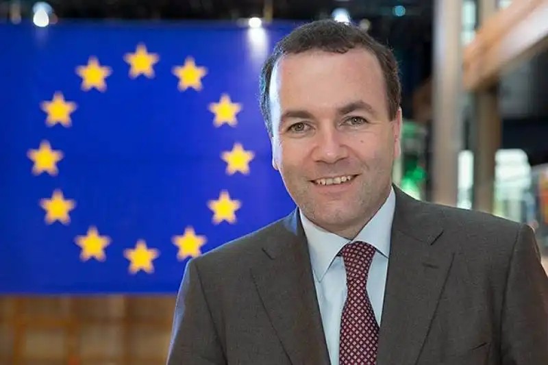 MANFRED 
WEBER
