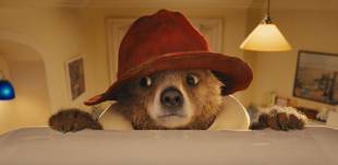 paddington 8