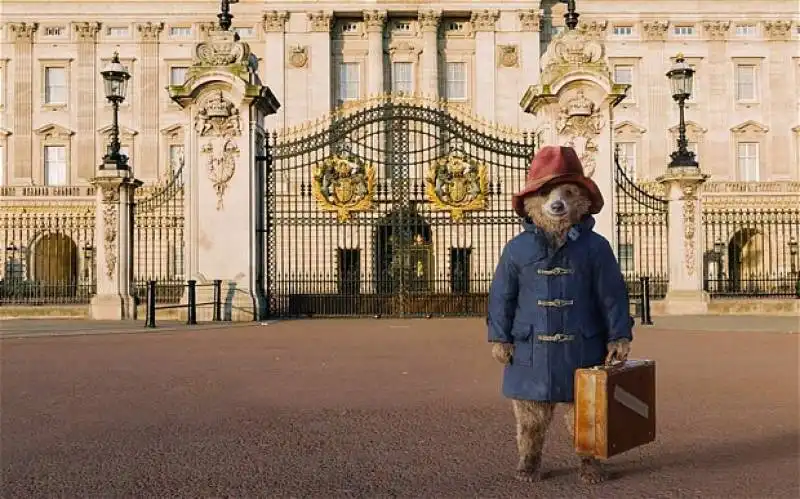 paddington orsetto