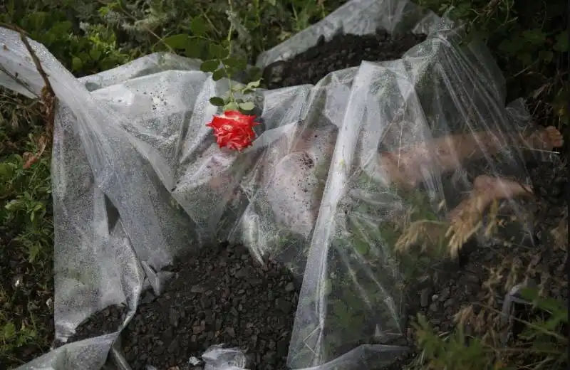 passenger of malaysia airlines flight 17