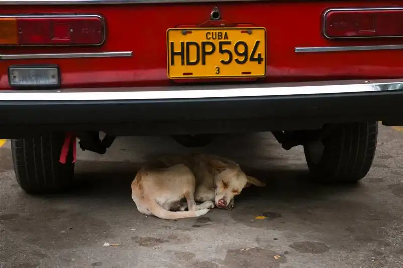 steve mccurry   foto cuba 5