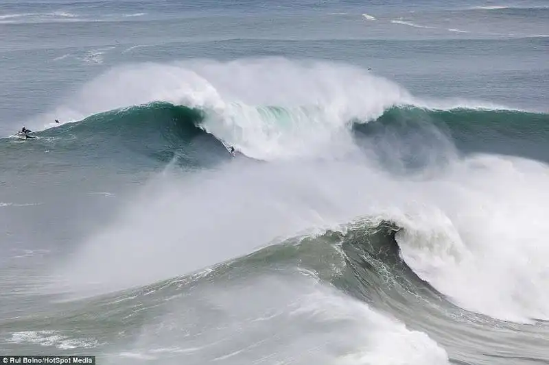 surfista mcnamara a nazare 2