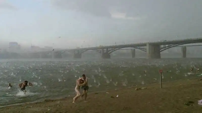 una spiaggia sul fiume ob in russia