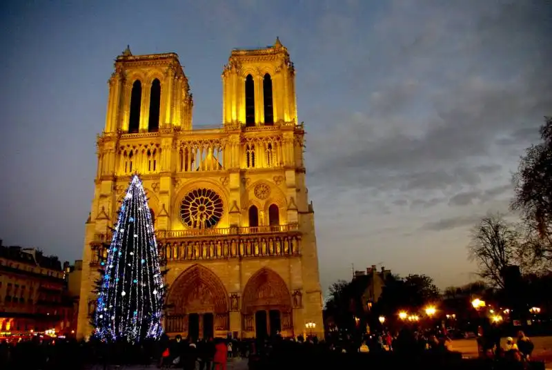 albero di natale notre dame