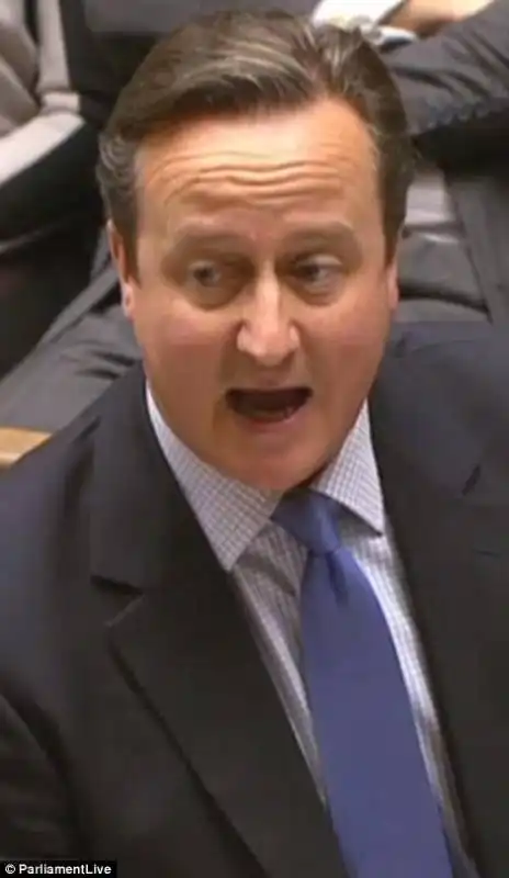 david cameron 