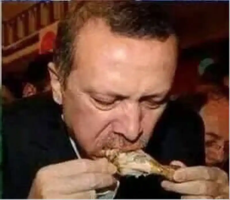 erdogan pollo