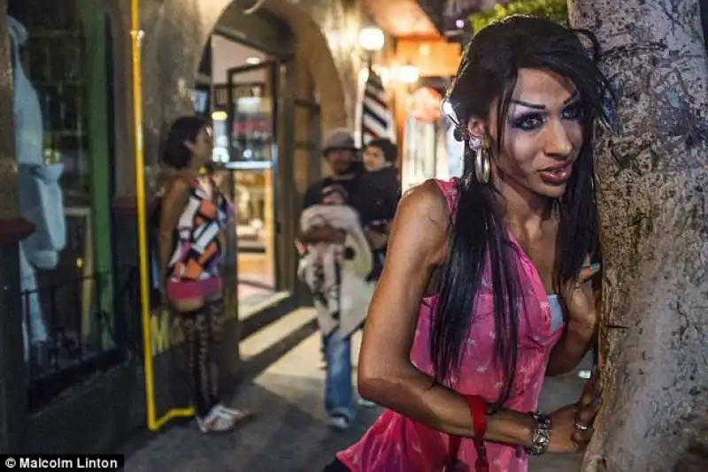 fernanda sanchez   prostituta transgender