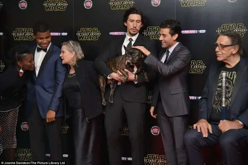 gary   il cane di carrie fisher