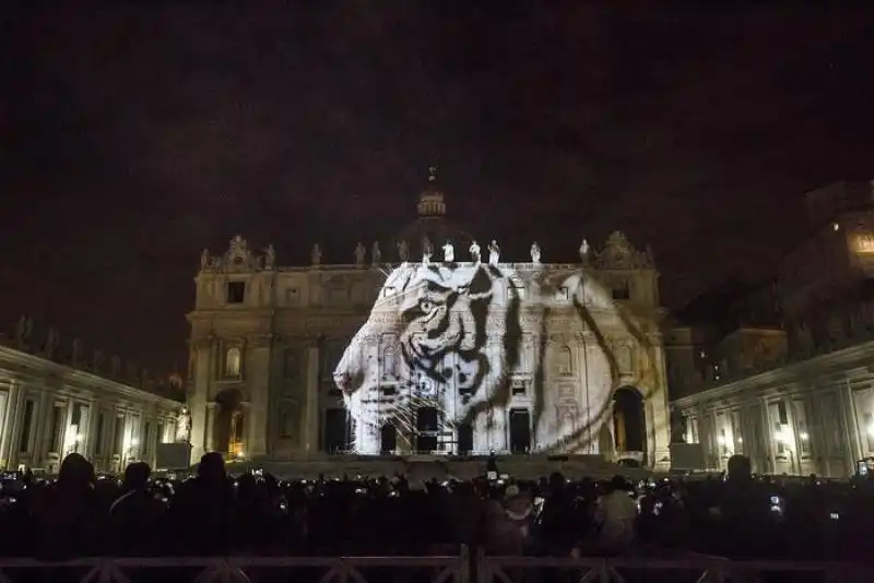 giubileo   giochi di luce a san pietro   7