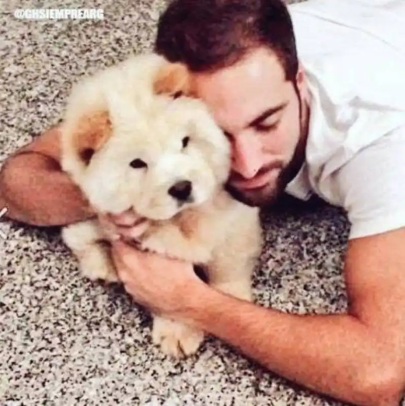 gonzalo higuain  4