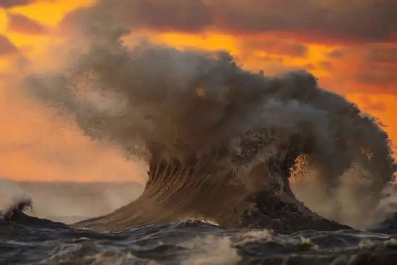 lake erie monster