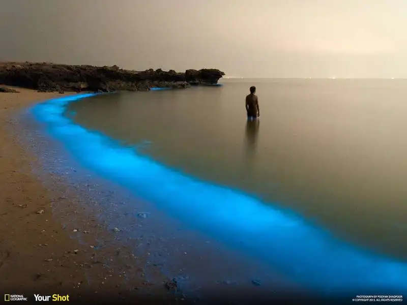 mare incondescente iran