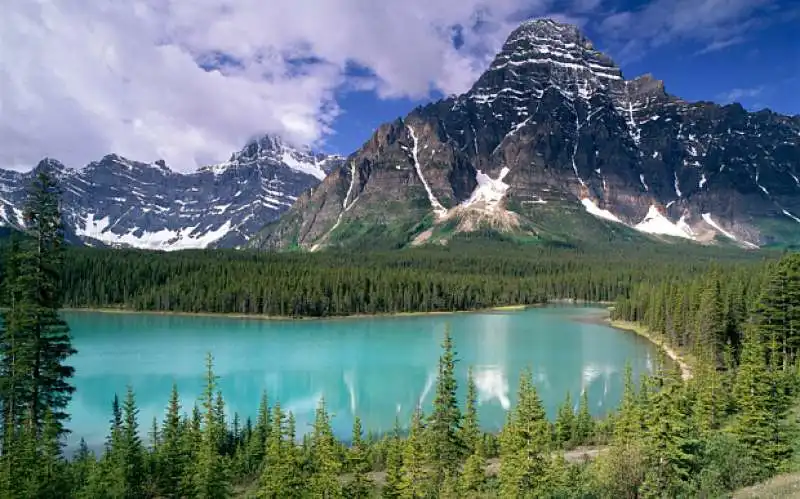 parco nazionale in alberta canada