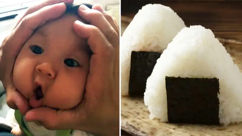 rice ball baby   7