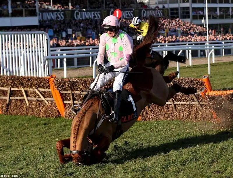 ruby walsh su annie power al olbg mares hurdle