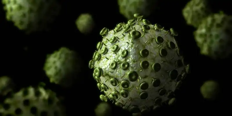 virus hiv  