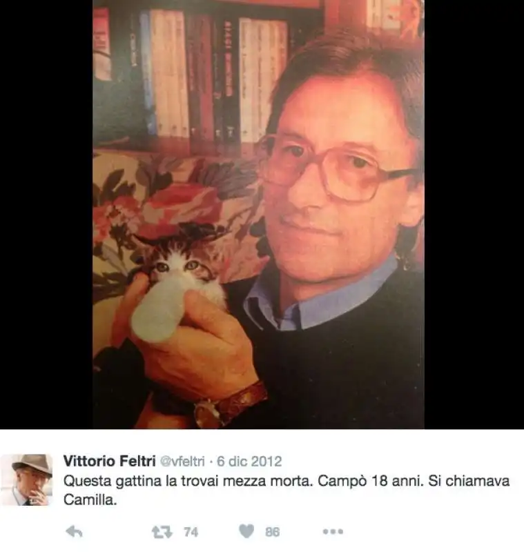 vittorio feltri e i gatti  4