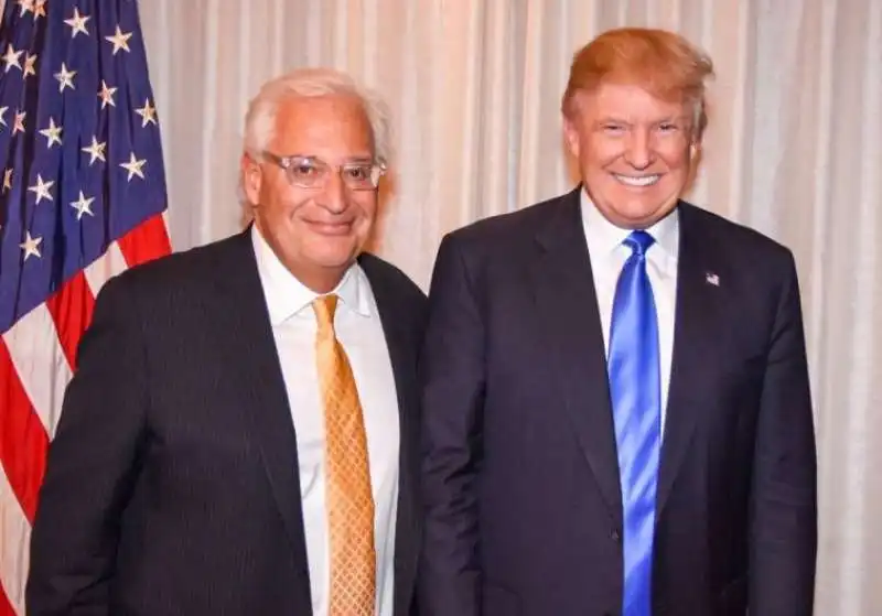 david friedman donald trump