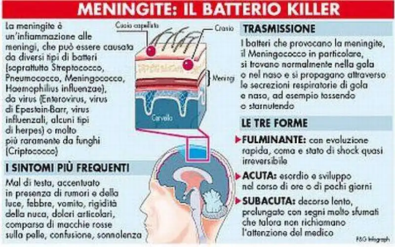 MENINGITE 