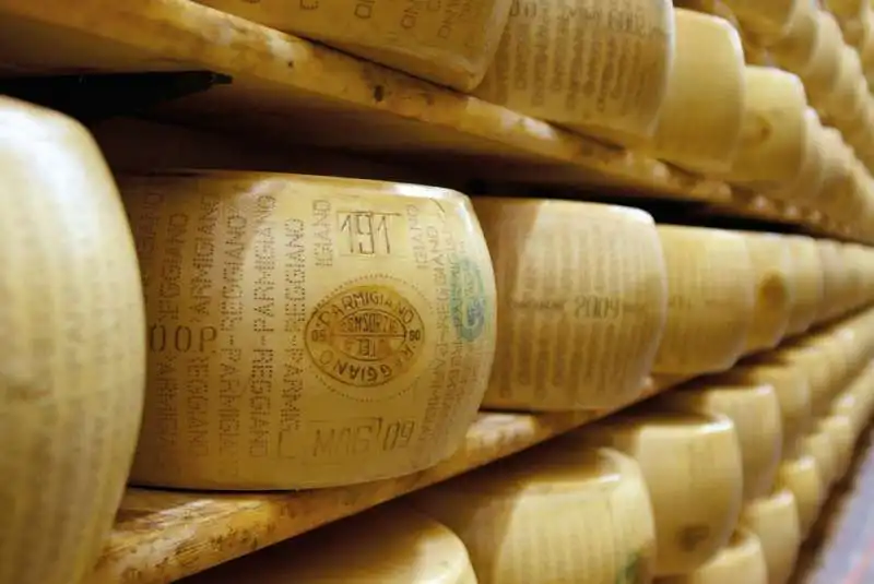 PARMIGIANO   