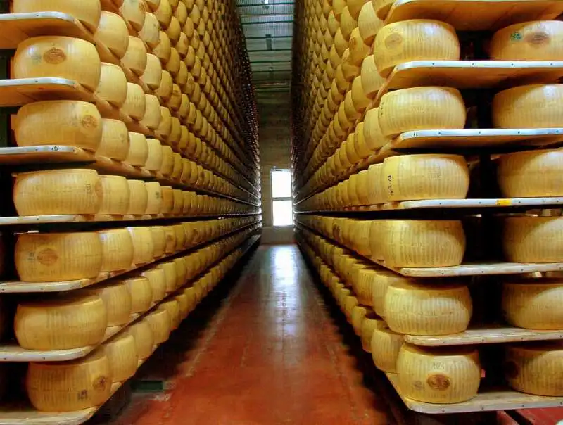 PARMIGIANO 