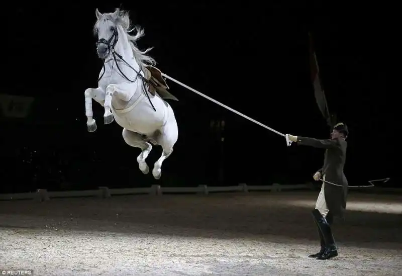 spettacolo equestre a vienna