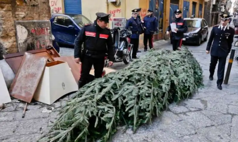 ALBERO DI NATALE ALLA GALLERIA UMBERTO A NAPOLI   