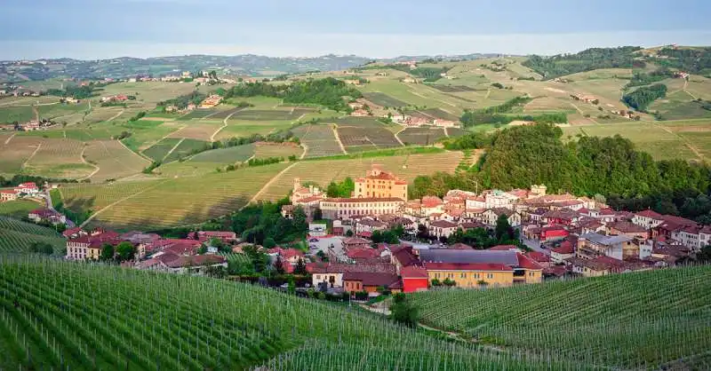 barolo-101-wine-guide-social