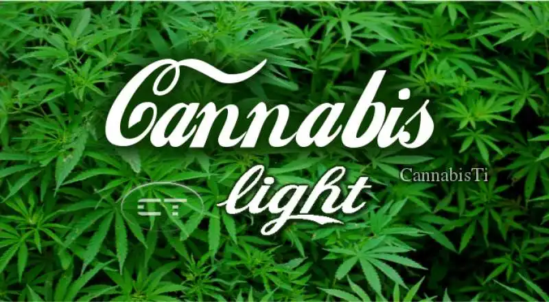 cannabis light