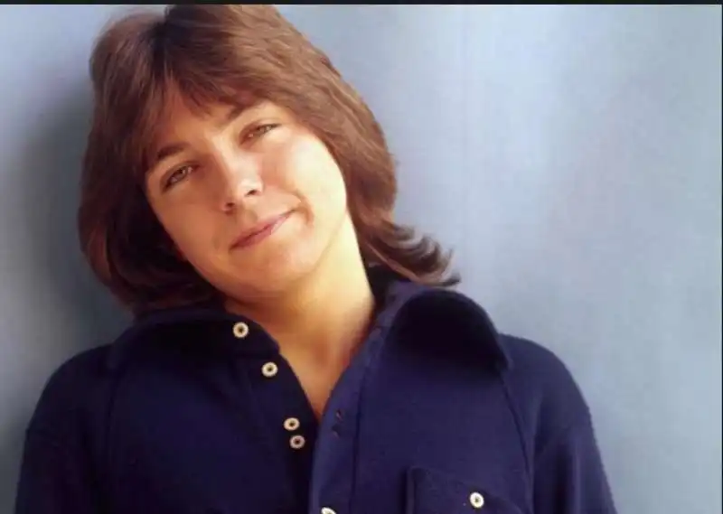  david cassidy