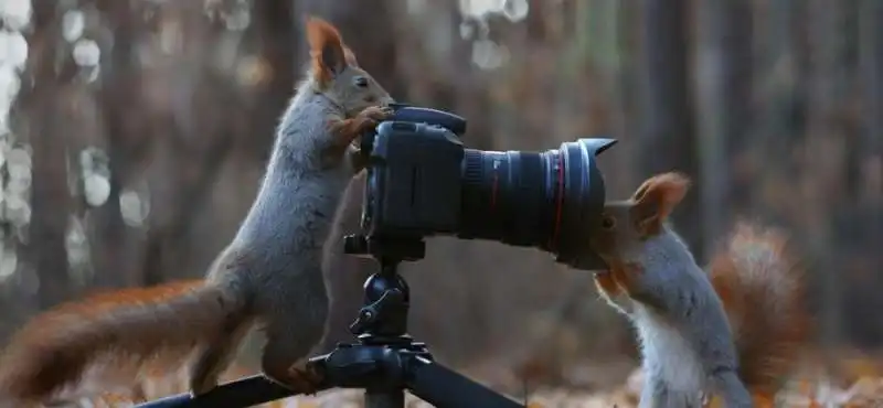 il fotografo e la modella 