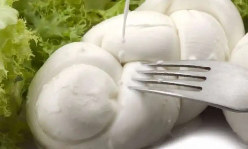 MOZZARELLA DI GIOIA DEL COLLE 