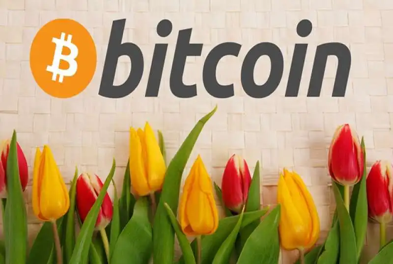 bitcoin tulipani